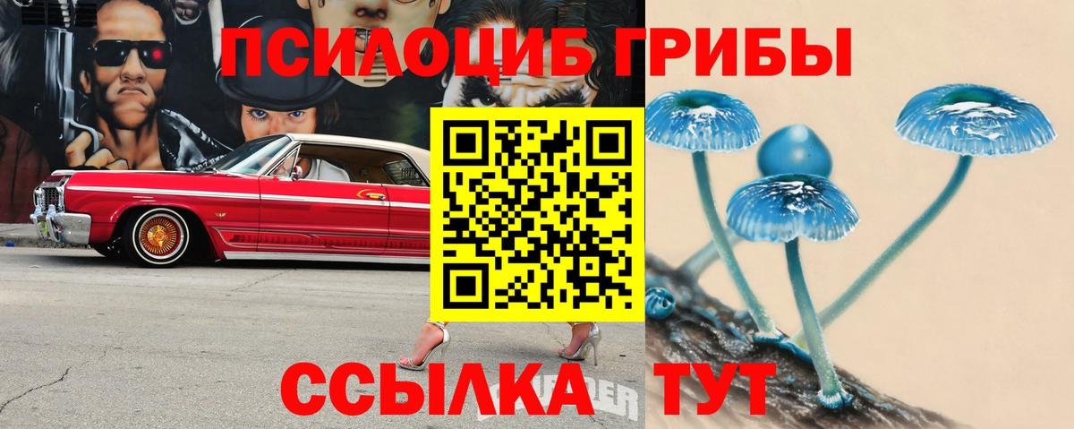 Псилоцибиновые грибы Cubensis  Псилоцибиновые грибы мухоморы  сколько стоит  Вход с VPN  Хасавюрт 